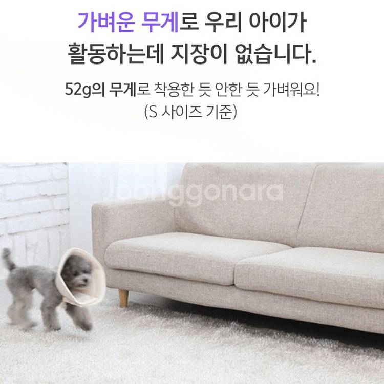 자연생각 개놀자 오가닉원단 펜타곤 순면 강아지 넥카라--2