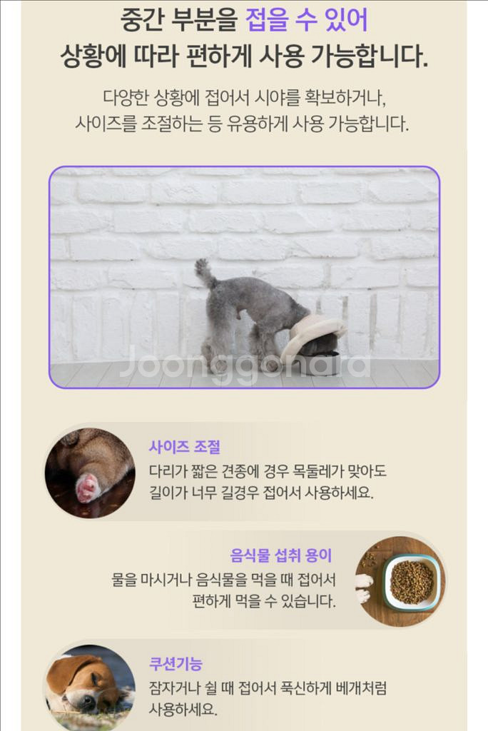 자연생각 개놀자 오가닉원단 펜타곤 순면 강아지 넥카라--4