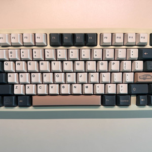 레이니 키보드 상옵