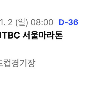 JTBC 마라톤 남자 10km 양도합니다.