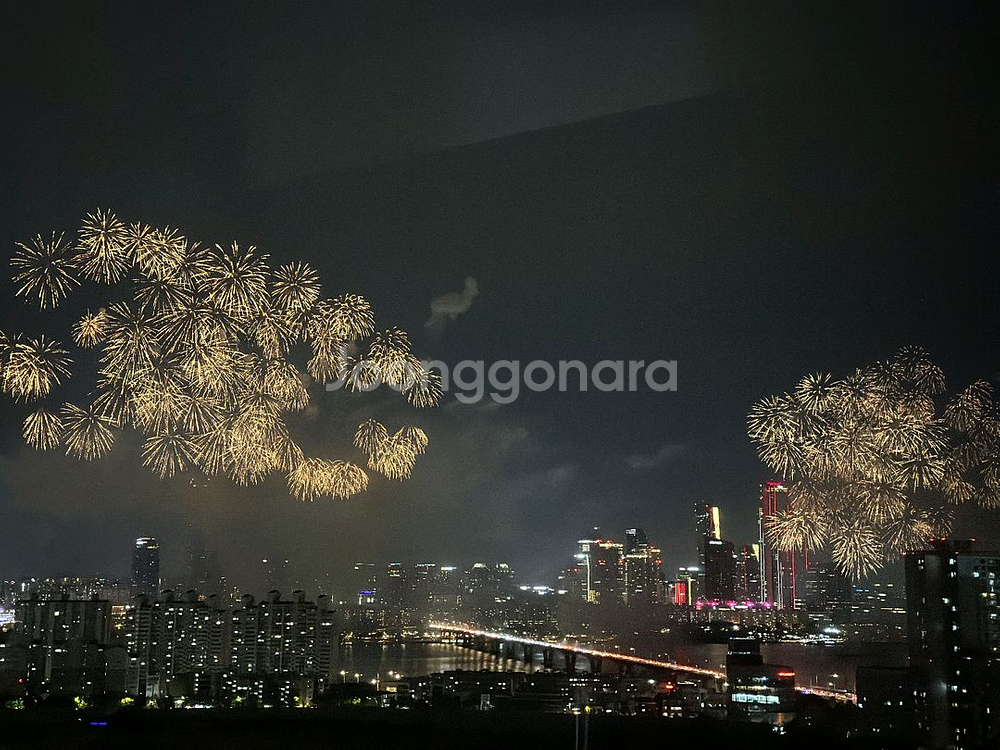 노보텔 스위트 불꽃축제 킹스 베케이션파티 패키지--0