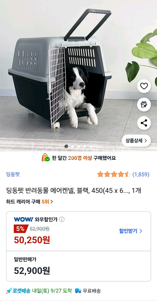 중대형견 켄넬 이동 캐리어--0