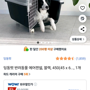 중대형견 켄넬 이동 캐리어