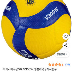 배구공 v300w