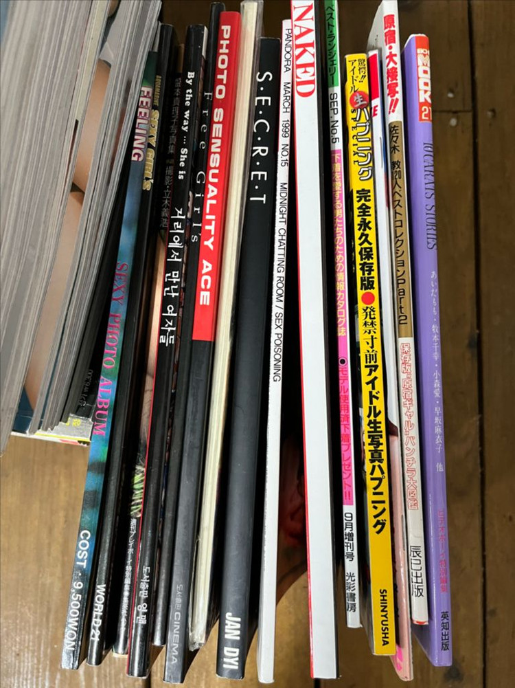 맥심 브/맥 일본잡지 등 이미지