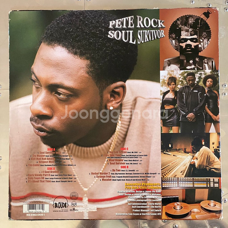 Pete Rock Soul Survivor LP--1