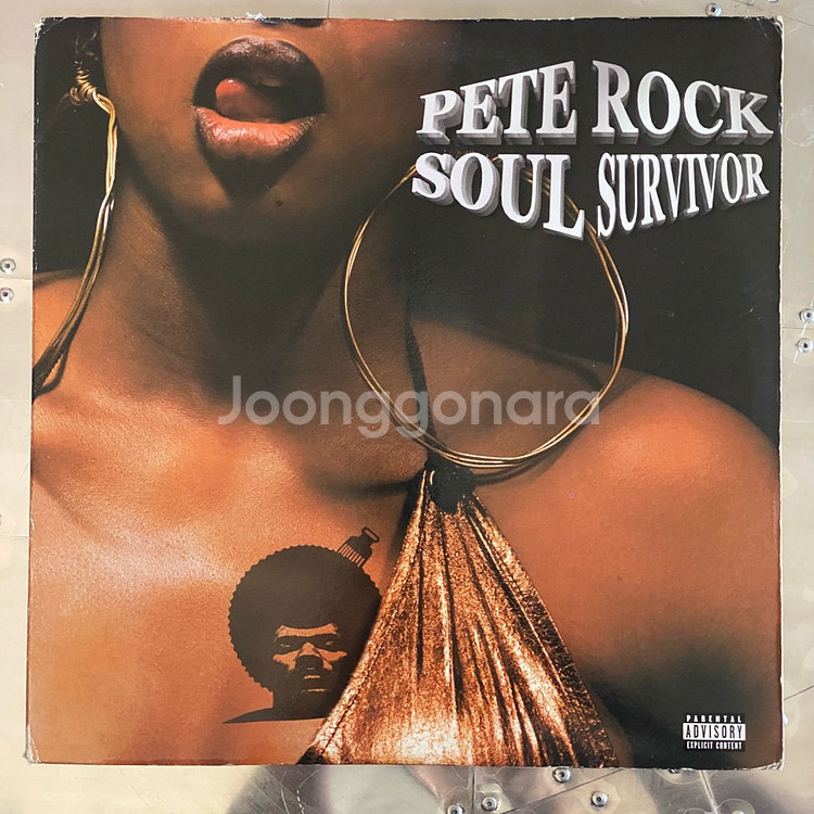 Pete Rock Soul Survivor LP--0