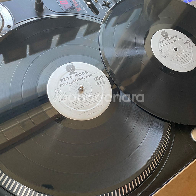 Pete Rock Soul Survivor LP--3