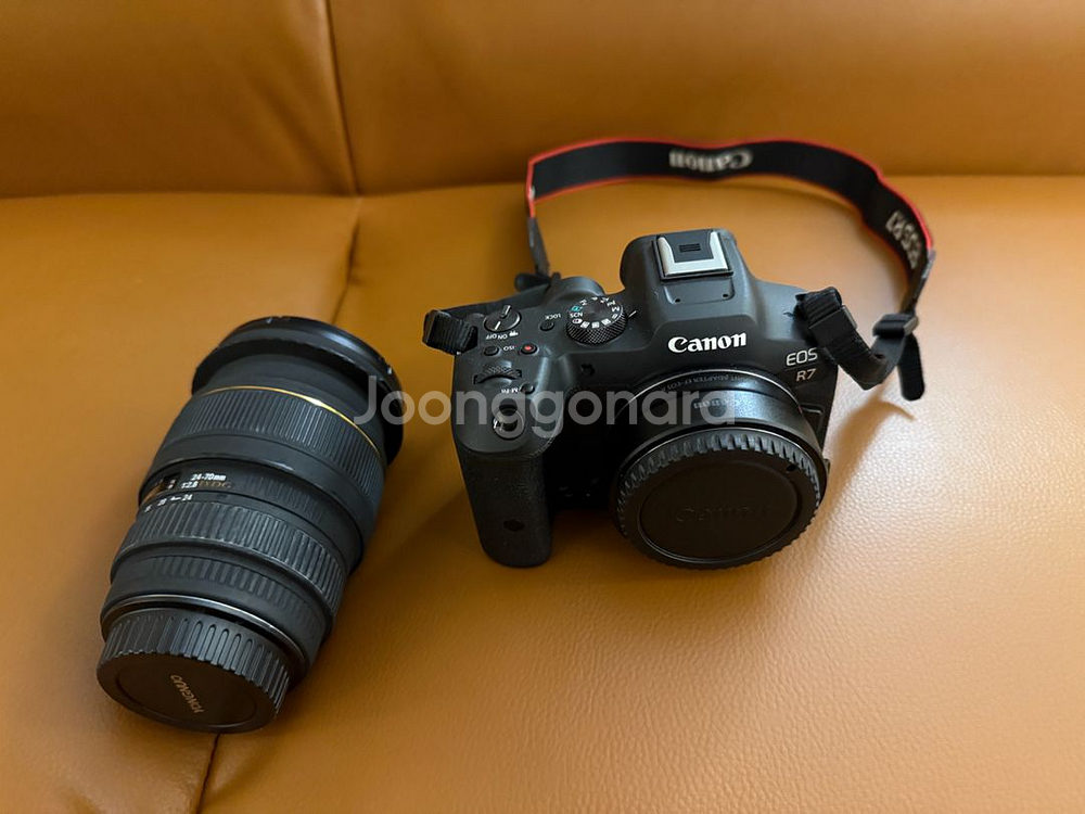캐논 EOS R7 + 시그마 24-70mm (시계륵)--0
