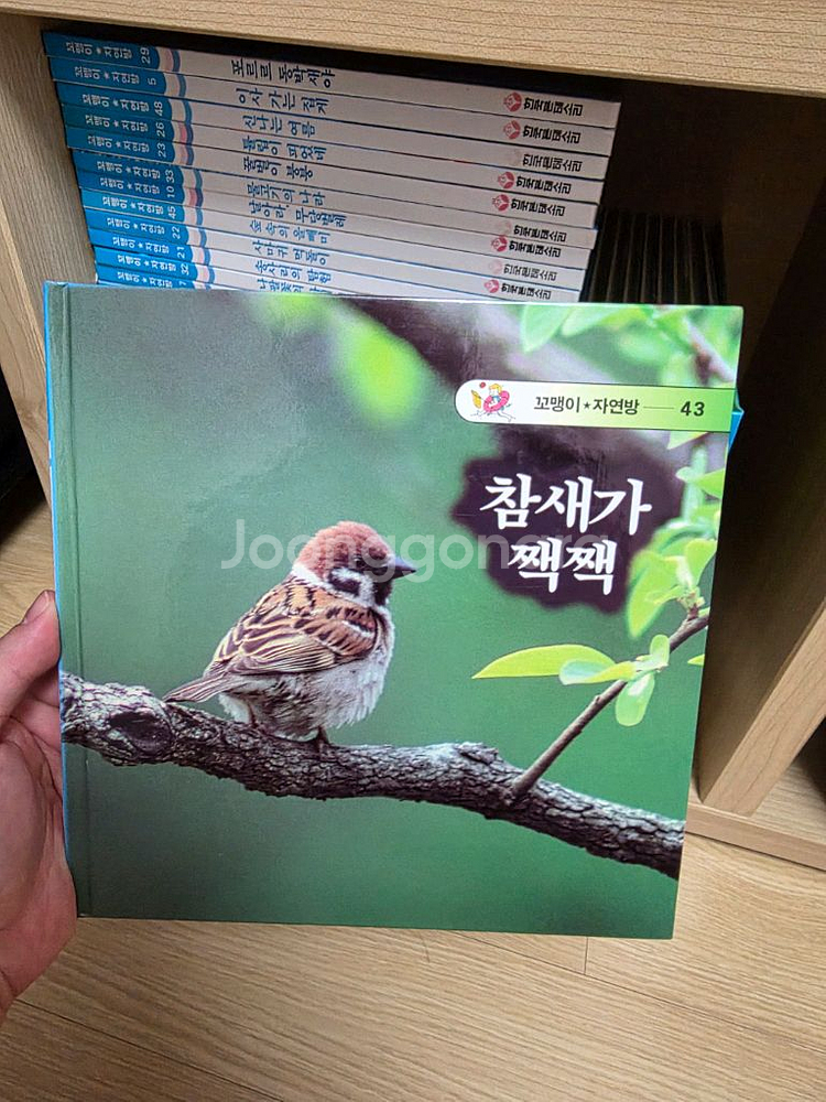 한국몬테소리 꼬맹이 자연방 전 49권 세트--1