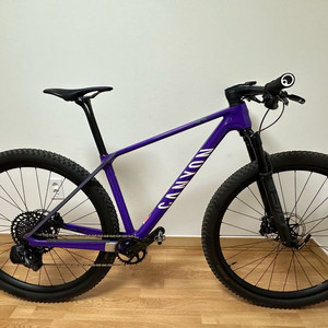 캐니언 MTB 익시드 CF SLX CLLCTV