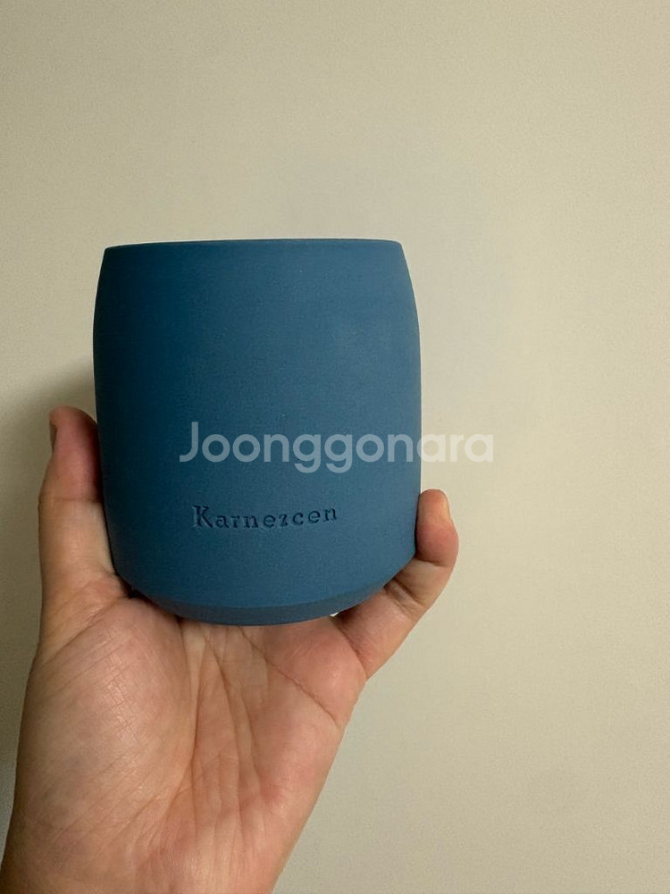 카네즈센 제네스포터리 토분 일괄판매--3