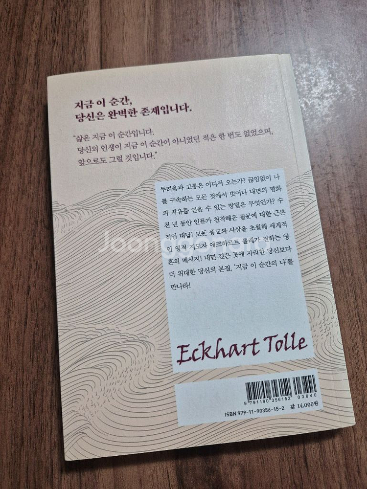 에크하르트 톨레의<이 순간의 나>--1