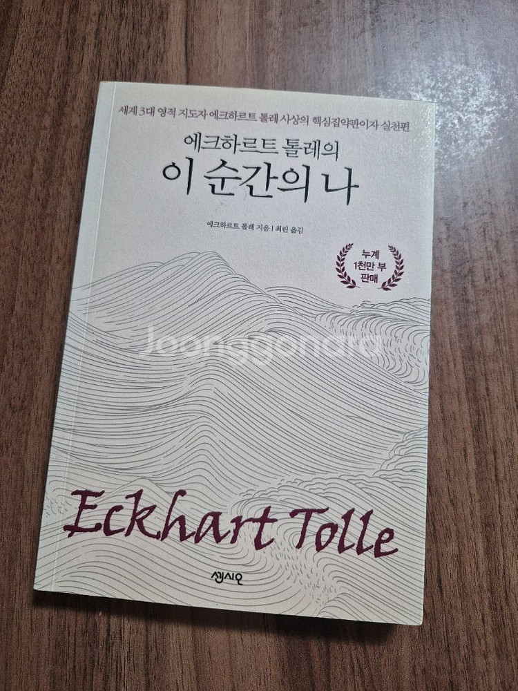 에크하르트 톨레의<이 순간의 나>--0