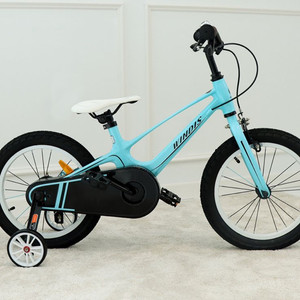 씨투엠뉴 윈디스 네발자전거 아동 유아 아기 자전거