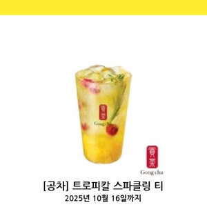 공차 트로피칼 스파클링 티