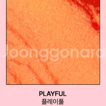 새상품 투에이엔 듀얼치크 쥬시 피치 + 립스틱--5