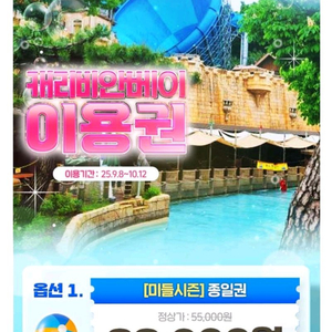 캐리비안베이 종일권