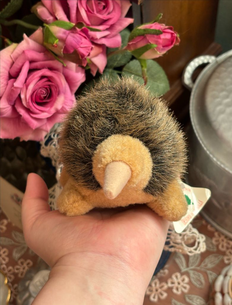 빈티지인형) 호주기념품 에키드나 두더쥐 호주인형소품--1