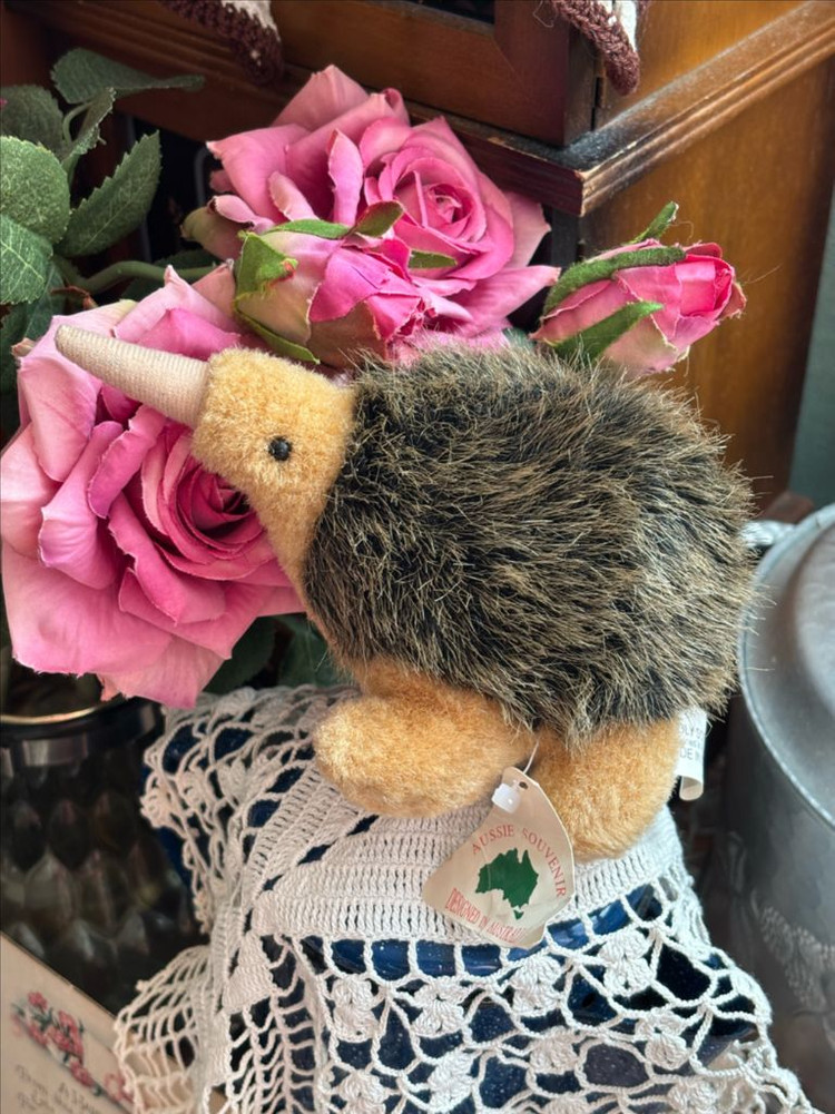 빈티지인형) 호주기념품 에키드나 두더쥐 호주인형소품--9
