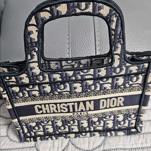 디올 오블리크 토트백 미니