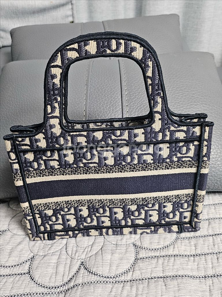 디올 오블리크 토트백 미니--1