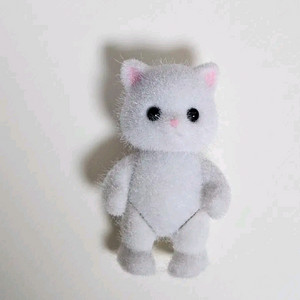 실바니안 페르시안 고양이 직립 아기