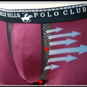 새상품>폴로 남자속옷95 폴로 비버리힐즈 남자드로즈