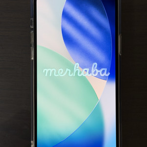 아이폰 13 프로 맥스 그래파이트 256gb 자급제