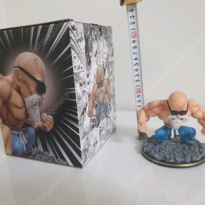 Master Roshi MAX POWER 카메하메하