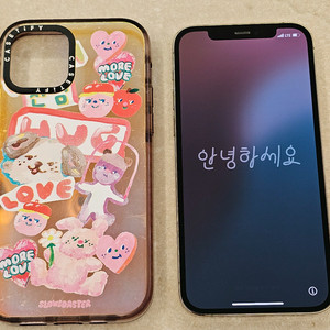 아이폰 12 프로 골드 + 케이스티파이 케이스