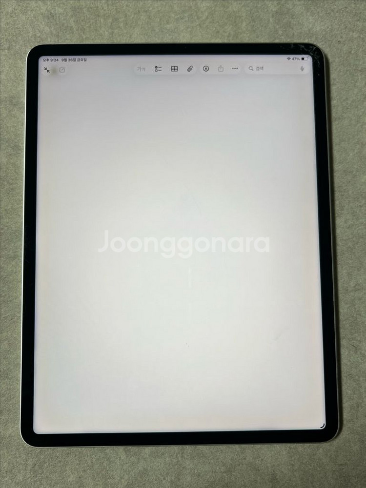 아이패드 프로 12.9인치 256gb--2