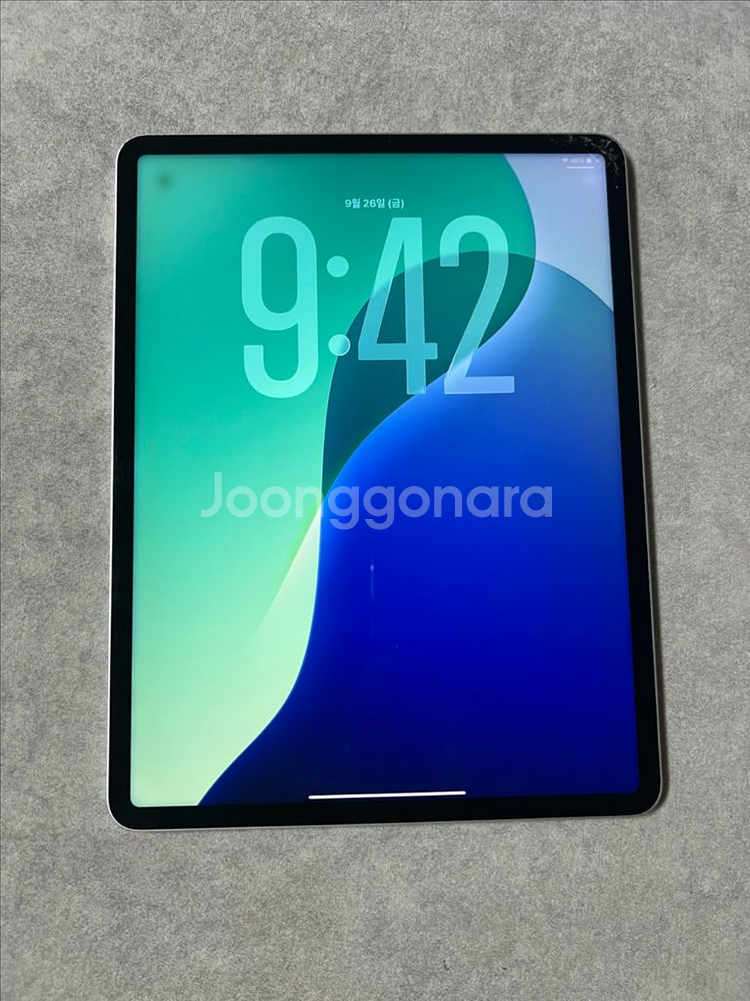 아이패드 프로 12.9인치 256gb--1