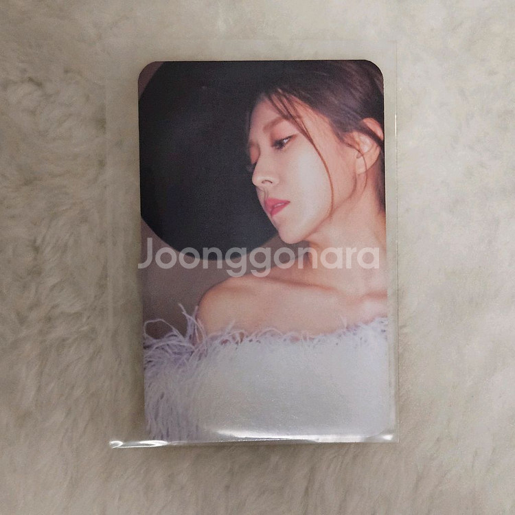 보아 팬톤 포토카드--0