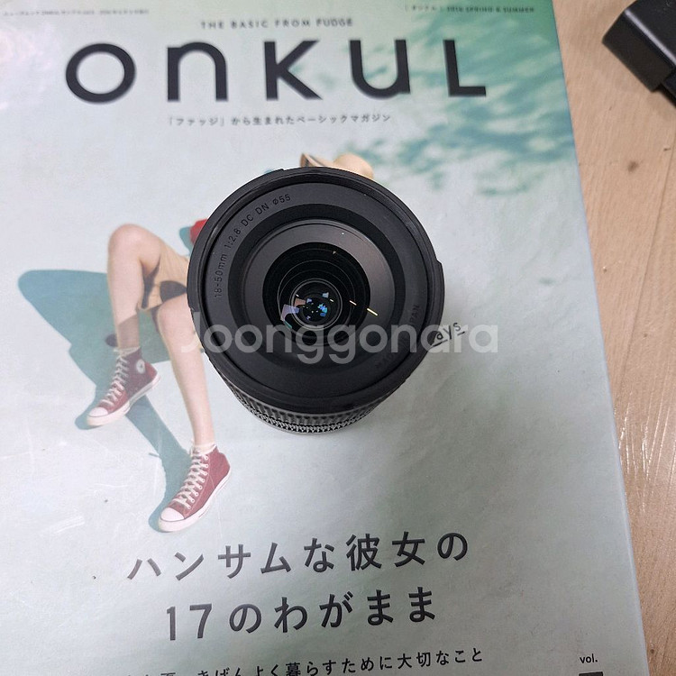 소니 A6500 시그마18-50--5