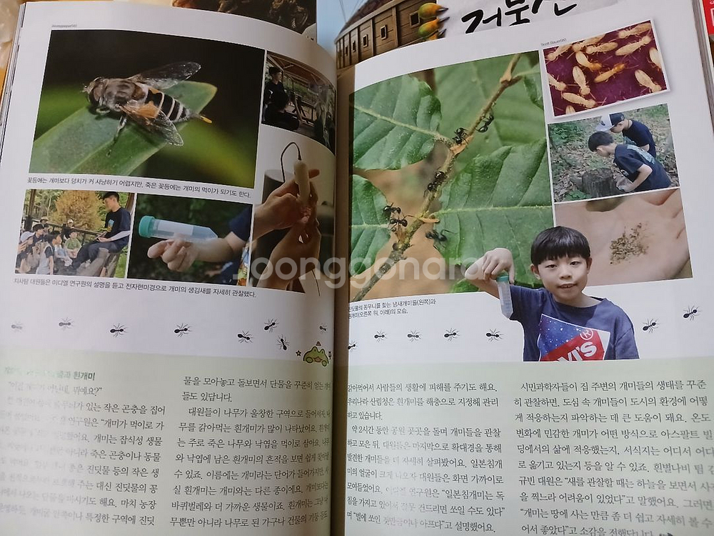 어린이과학동아 2025년 16권--2