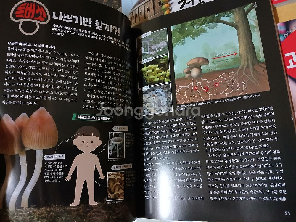 어린이과학동아 2025년 16권--3