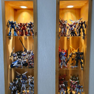 중국건담.가조.순조.다반.직구