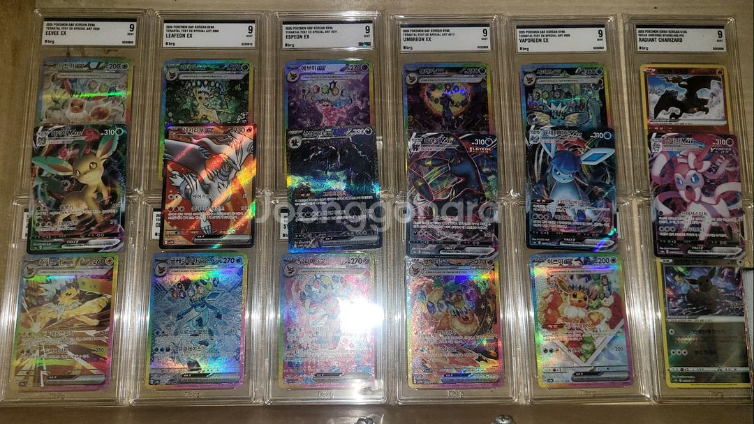 포켓몬카드 테라스탈 이브이 sar+그 외 카드들 일괄--0