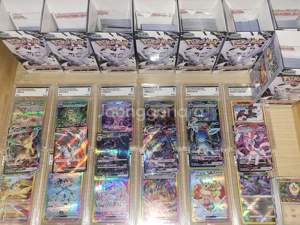 포켓몬카드 테라스탈 이브이 sar+그 외 카드들 일괄--1