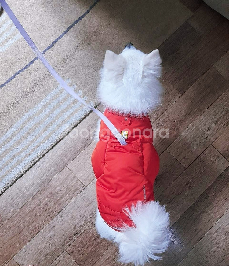 러프웨어 경량 패딩 보온 자켓 XS(흉부43~56cm)--8