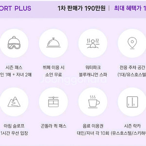 휘닉스평창 시즌패스 컴포트플러스