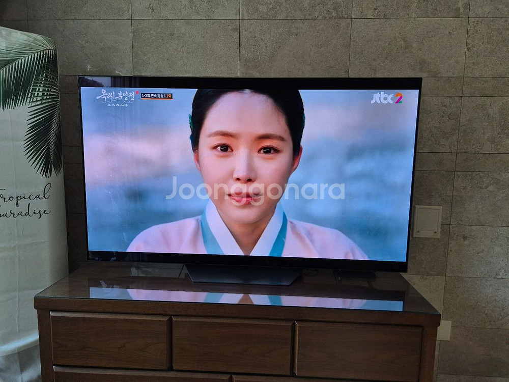 LG OLED 65인치 TV 팝니다 (상태좋음,고급형)--1