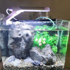 미니 베타 어항