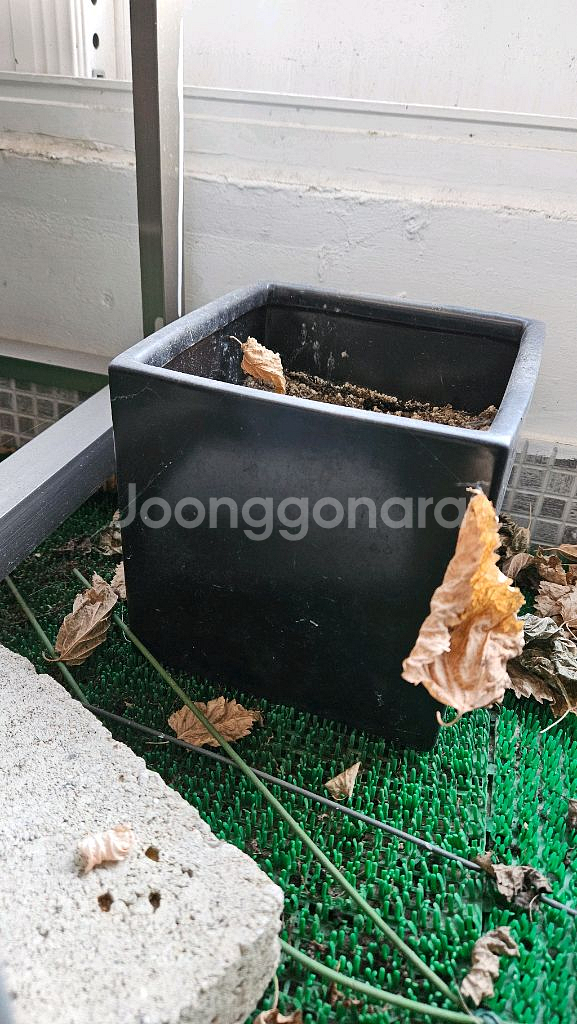 도자기화분 21개와 받침대 일괄판매합니다--3