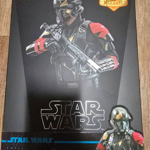 핫토이 tms134 데스트루퍼