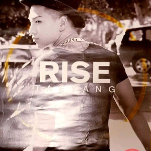 빅뱅 BIGBANG 공식 포스터 태양 RISE 솔로앨범