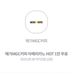 메가커피 아메리카노 HOT