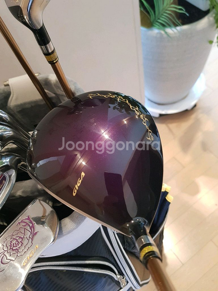 여성초급자용 정품 일제 기가 풀세트 거의새거--3