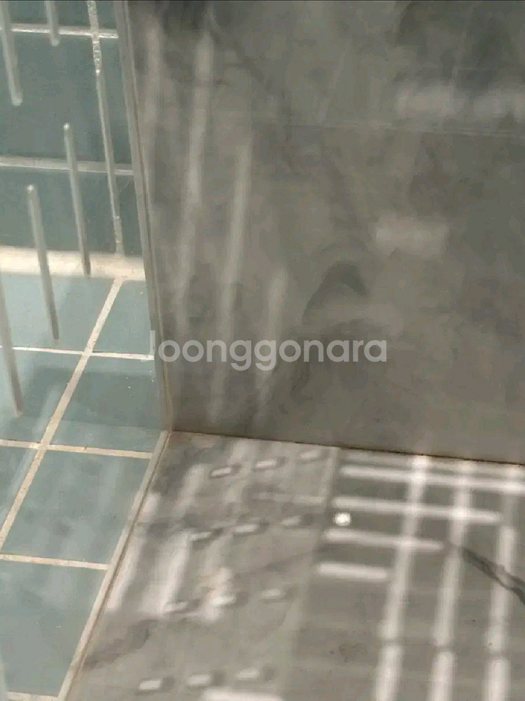 엑조틱렙타일 202030아크릴사육장--1